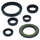 QuadBoss Yamaha YFM700R Raptor Oil Seal Set (2006-2016) – Engine and Transmission Rebuild Kit