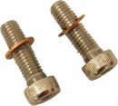 DRAG SPECIALTIES Screws with/Washers - Damper Tube C23-0237NU-2