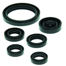 QuadBoss Oil Seal Set for Yamaha YFZ450 (2004-2013) – Engine and Transmission Rebuild Kit