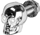 Lighted Skull Lic Plate Screw White