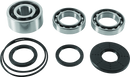 QuadBoss Differential Bearing & Seal Kit for 2017 Polaris RZR XP 4 1000 EPS High Lifter Edition