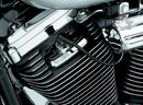 Kuryakyn Spark Plug & Head Bolt Covers for Evolution Motors and 1986-2003 Harley XL Models
