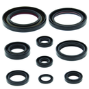 QuadBoss 2006-2014 Honda TRX450ER Oil Seal Set - Complete Rebuild Kit for Engine & Transmission