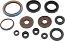 QuadBoss 09-15 Arctic Cat 1000 TRV Engine and Transmission Oil Seal Set Part
