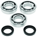 QuadBoss Crankshaft Bearing & Seal Kit for Polaris 300 2x4/4x4 (1994-1999) - Precision Replacement Parts