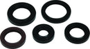 QuadBoss Oil Seal Set Part