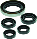 QuadBoss 06-07 Polaris Outlaw 500 Oil Seal Set for Engine and Transmission Rebuild