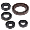 QuadBoss Oil Seal Set for Suzuki LT-R450 QuadRacer (2006-2009) – Engine and Transmission Rebuild Kit