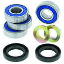 QuadBoss 414442 Powersports Rear Suspension Repair Kit for Can-Am Outlander and Renegade Models
