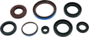 QuadBoss Oil Seal Set for Arctic Cat 550 4x4 EFI - Engine and Transmission Rebuild Kit