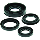 QuadBoss 04-06 Polaris Predator 50 Oil Seal Set - Complete Engine and Transmission Seal Kit