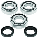 QuadBoss Polaris Trail Blazer 250 Crankshaft Bearing & Seal Kit (Part