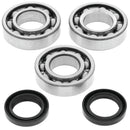 QuadBoss Crankshaft Bearing & Seal Kit for Polaris 300 2x4/4x4 (1994-1999) - Precision Replacement Parts