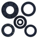 QuadBoss Oil Seal Set for Arctic Cat 650 V2 4x4 and Kawasaki KVF Prairie Models