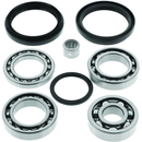 QuadBoss Differential Bearing & Seal Kit for Arctic Cat 1000 Models – Part 414285