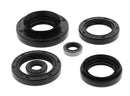 QuadBoss Oil Seal Set for Kawasaki KVF750 Brute Force 4x4i and EPS Models (2015-2018)