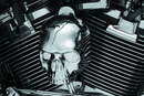 Kuryakyn Skull Horn Cover 2017 and Up with Waterfall Style Horn Chrome